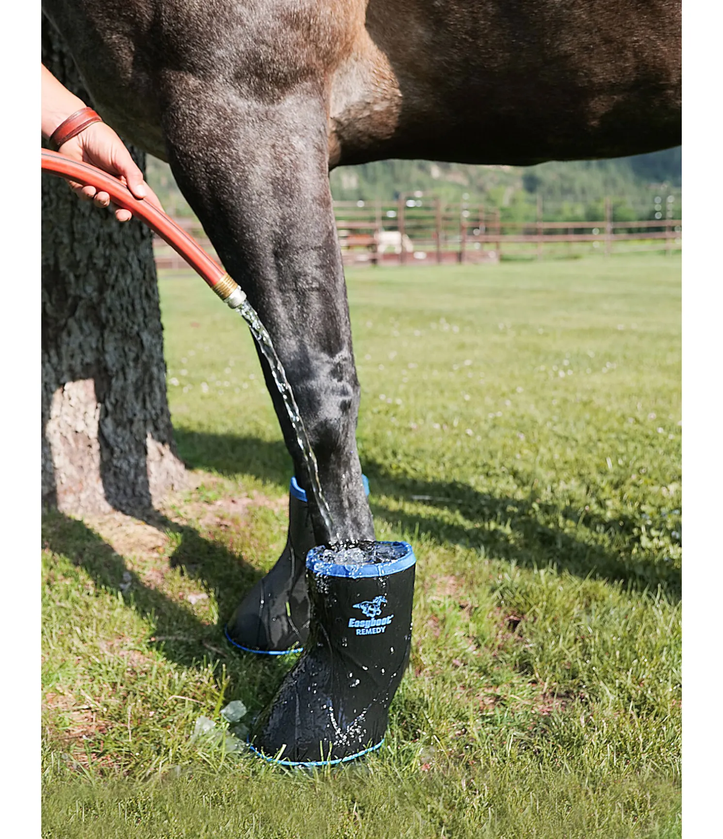 Hipposandale vétérinaire EasyBoot Remedy