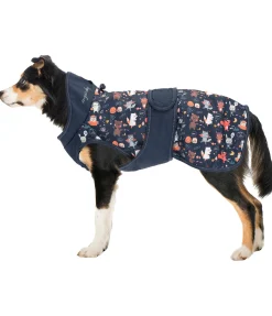 Imperméable pour chien Pumpkin Spice, 0 g