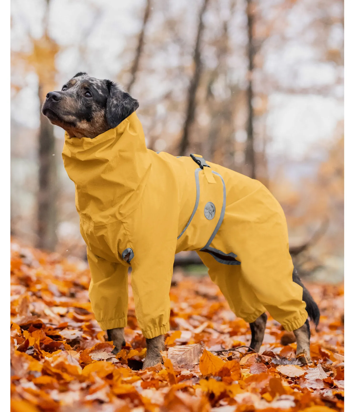 Imperméable pour chien Sequoia II, 0 g