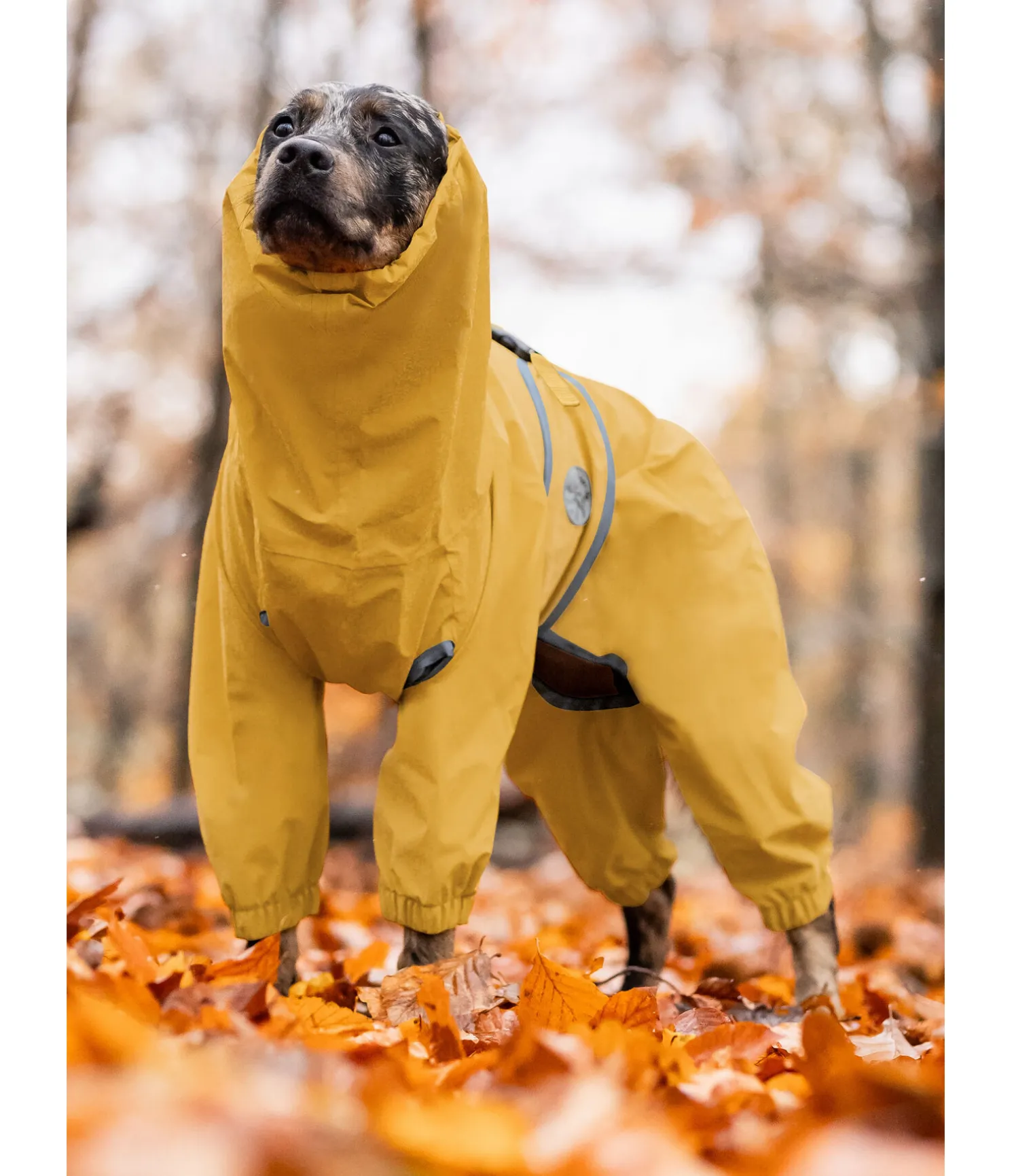 Imperméable pour chien Sequoia II, 0 g