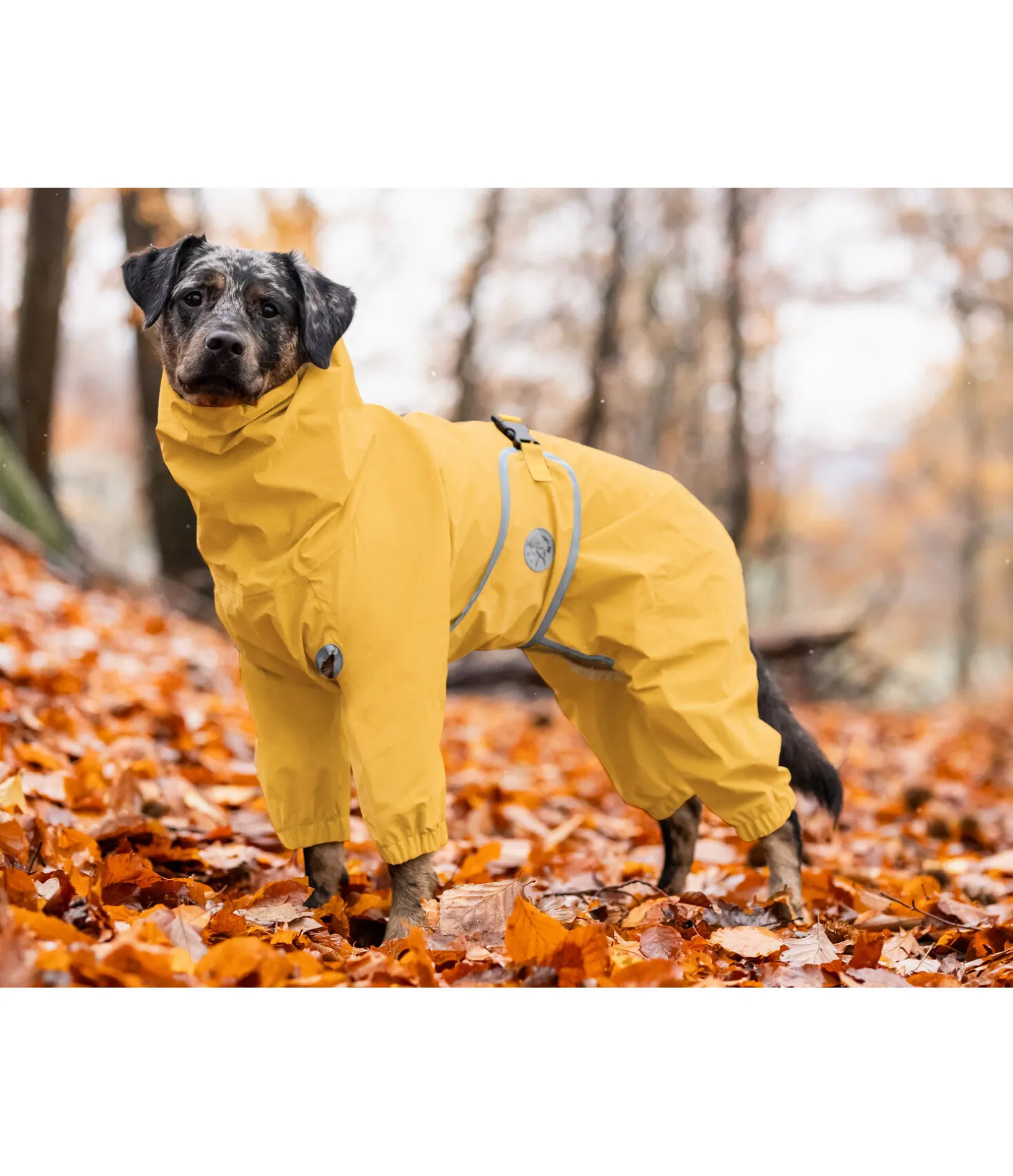 Imperméable pour chien Sequoia II, 0 g