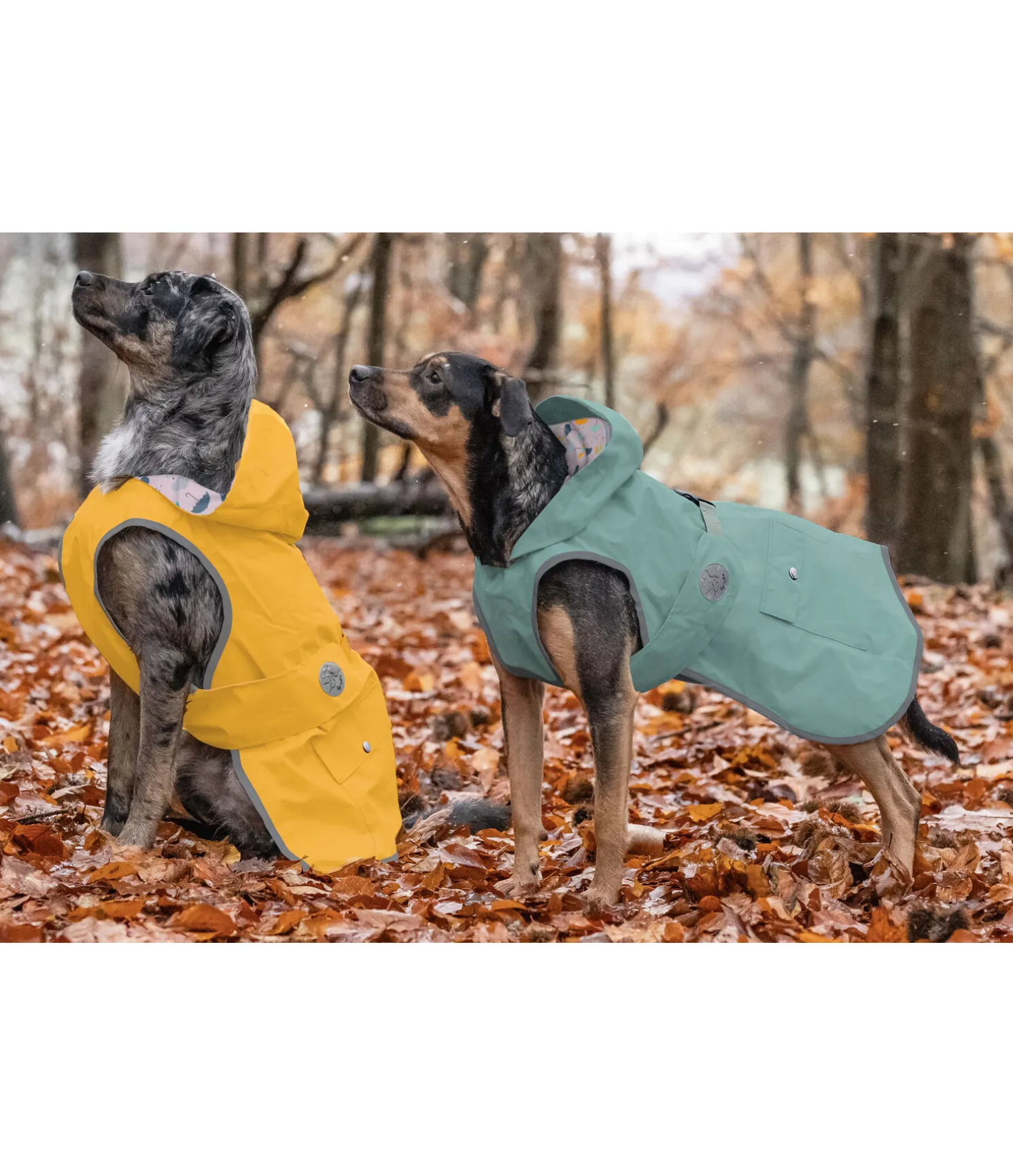 Imperméable pour chien Waterton Lakes, 0 g