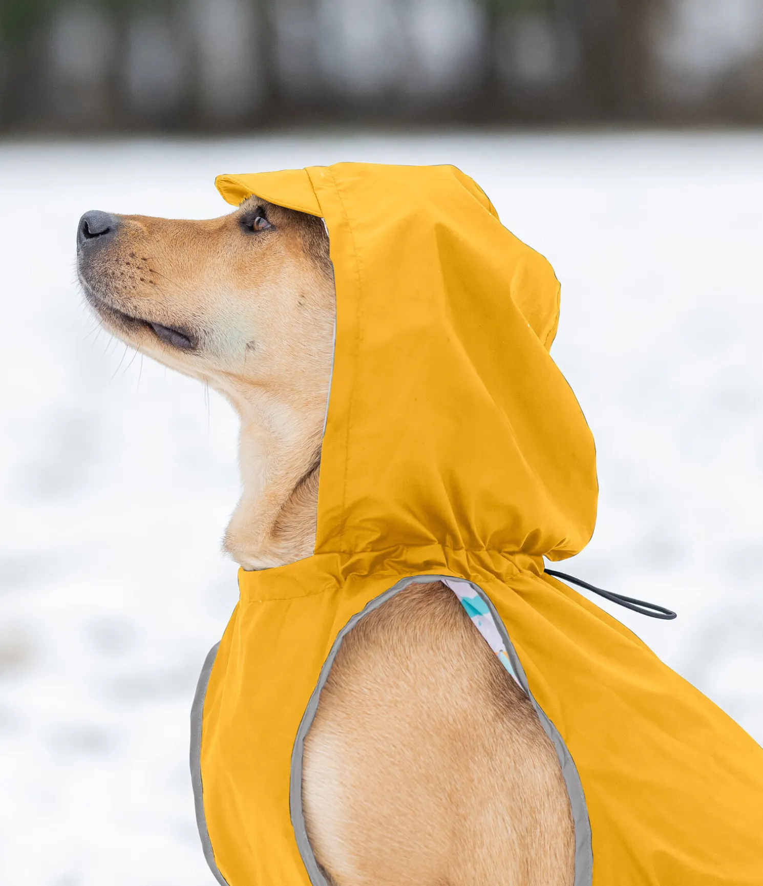 Imperméable pour chien Waterton Lakes, 0 g