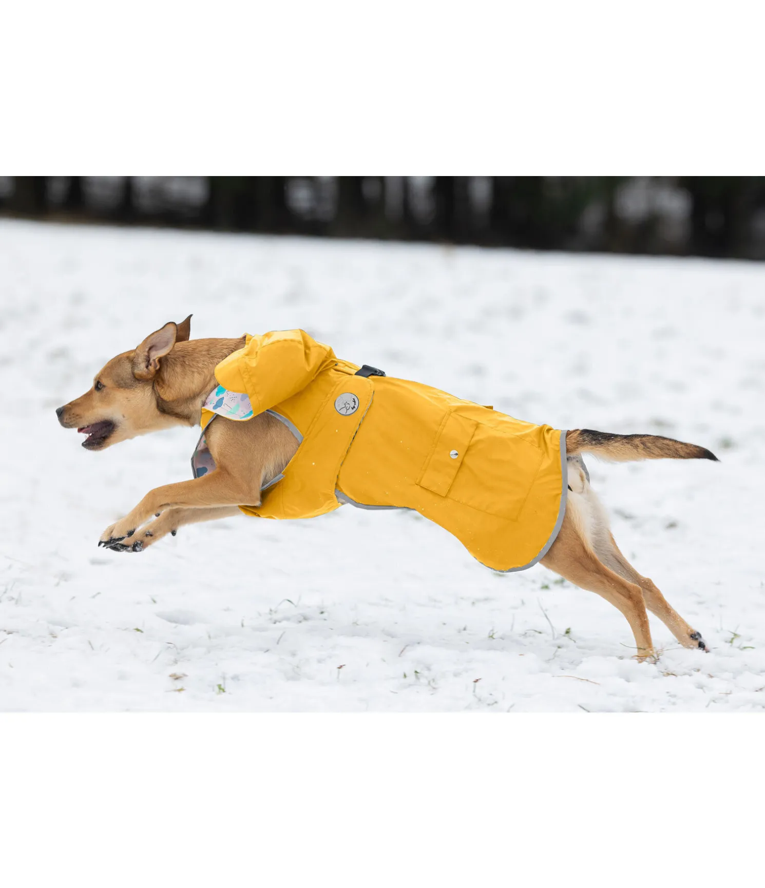 Imperméable pour chien Waterton Lakes, 0 g