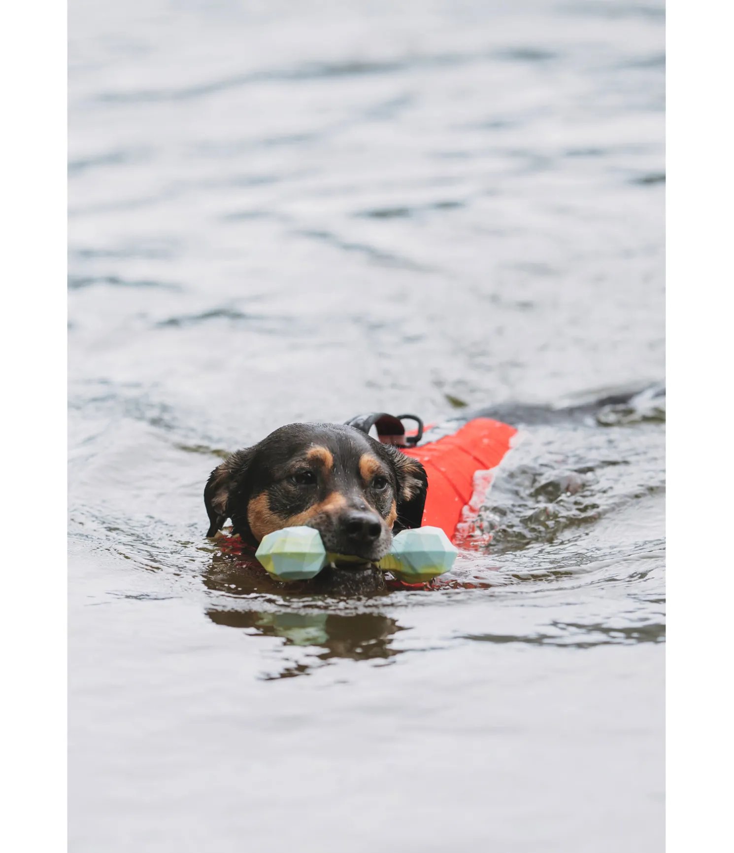 Jouet d'eau pour chien Marble Bone
