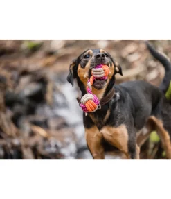 Jouet en corde pour chien Sepp