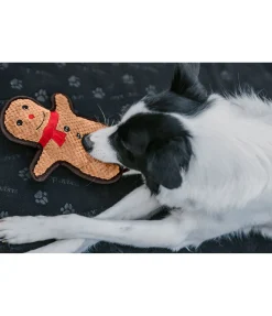 Jouet pour chien Gingerman