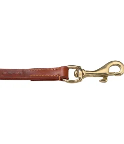 Laisse en cuir pour chien San Gimignano