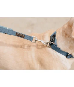Laisse pour chien Jade