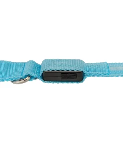 Laisse pour chien LED Loom