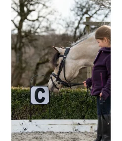 Lettres de dressage