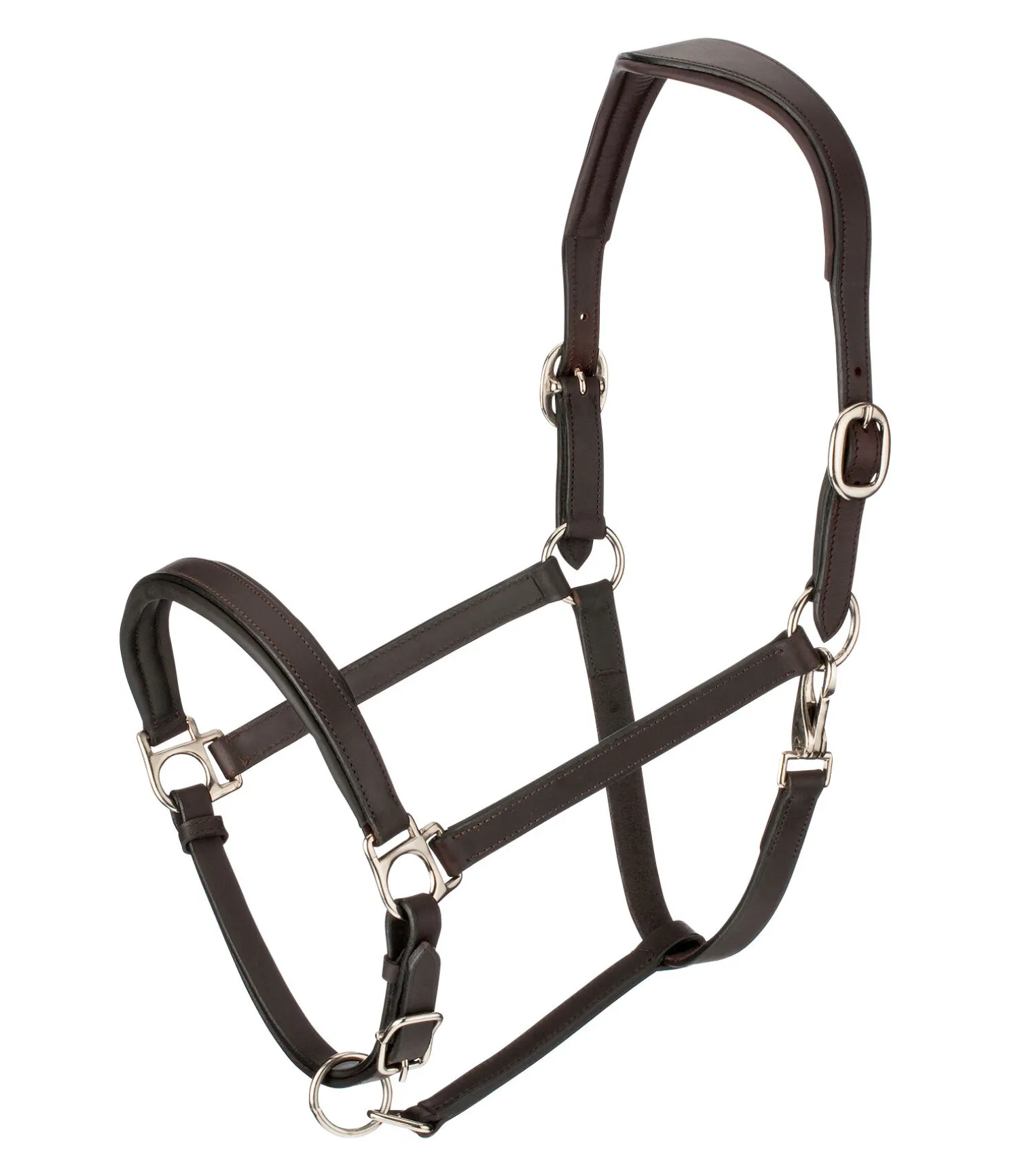 Licol en cuir Anatomical