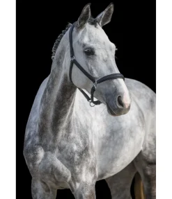 Licol en cuir synthétique SYLKA Animal Friendly