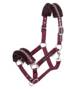 Licol en polaire Teddy Norway Spirit