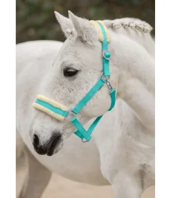 Licol en polaire Teddy à prix cassé III