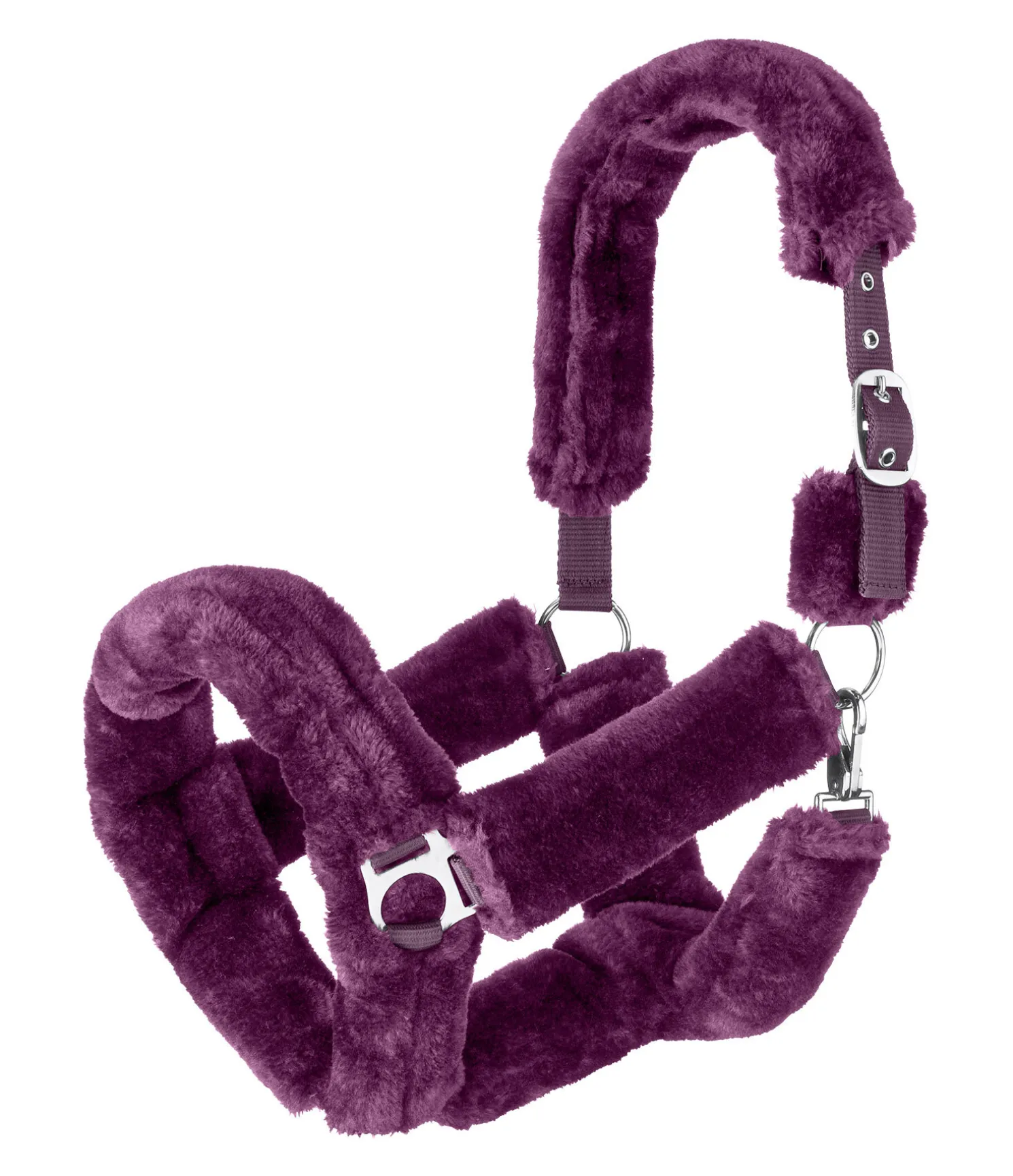Licol en polaire Teddy Protection