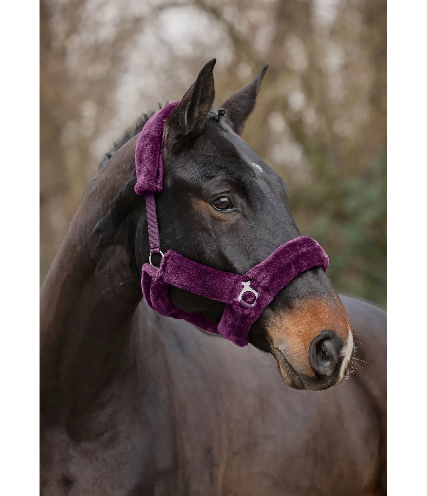 Licol en polaire Teddy Protection