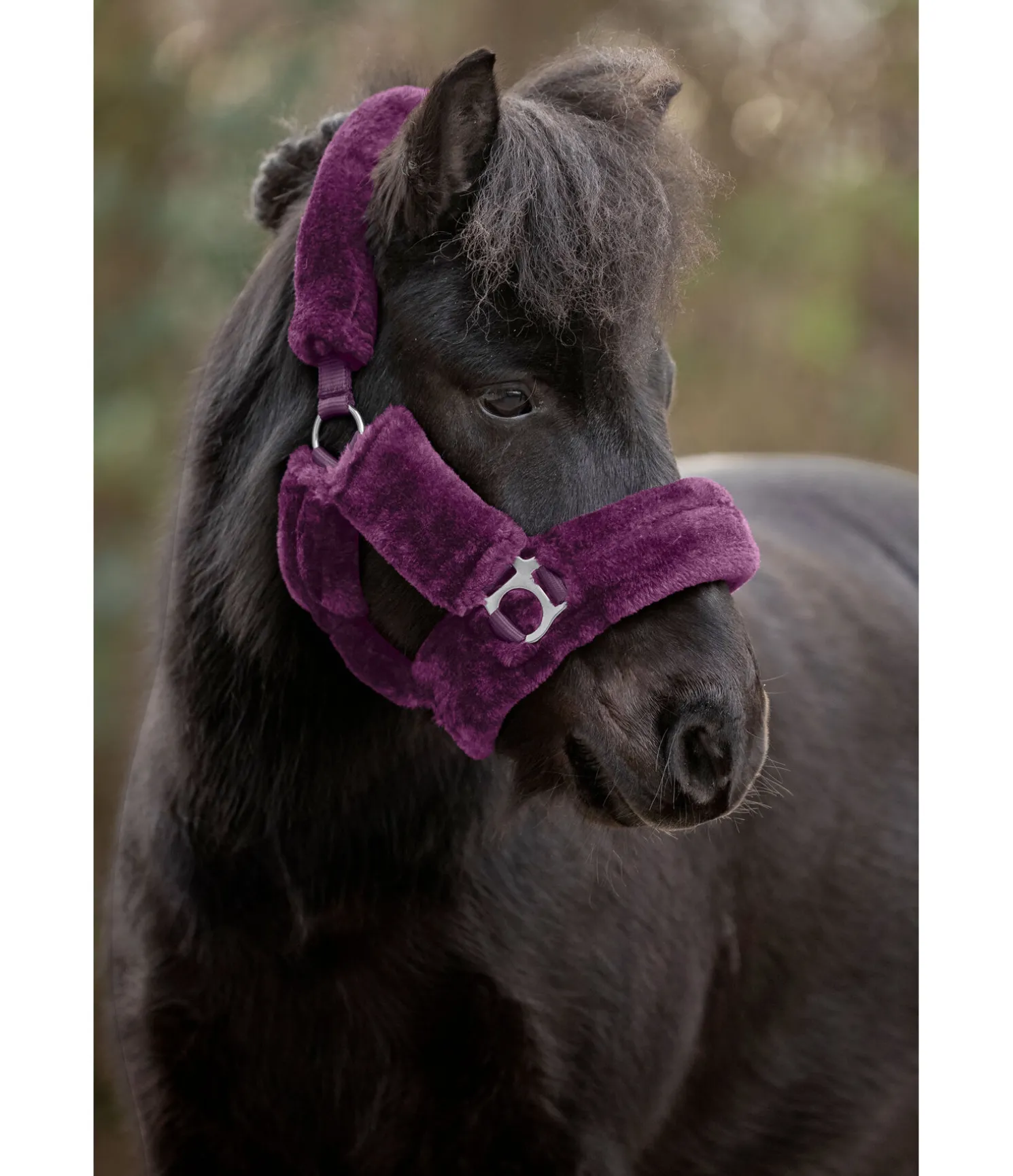 Licol en polaire Teddy Protection