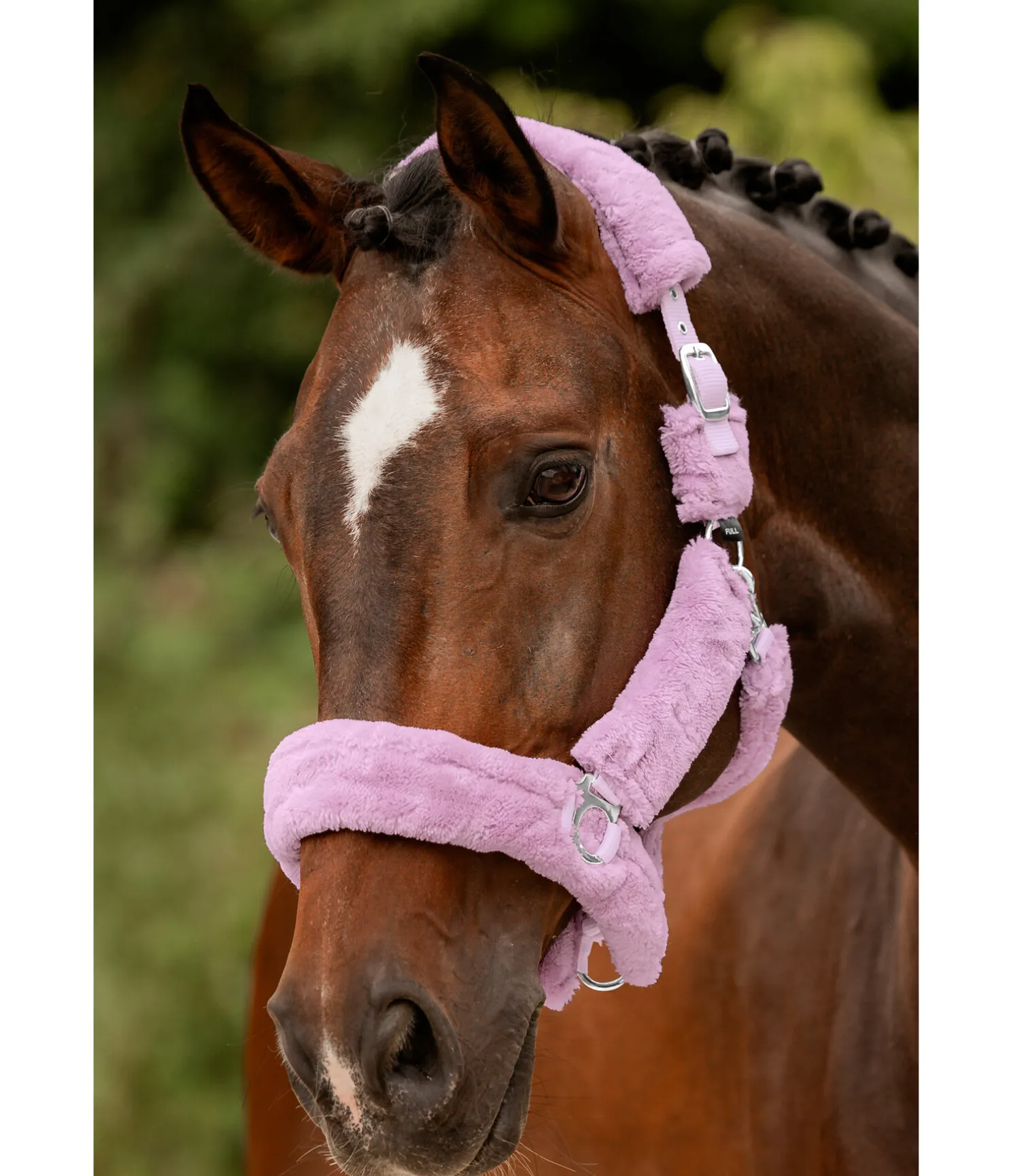 Licol en polaire Teddy Protection