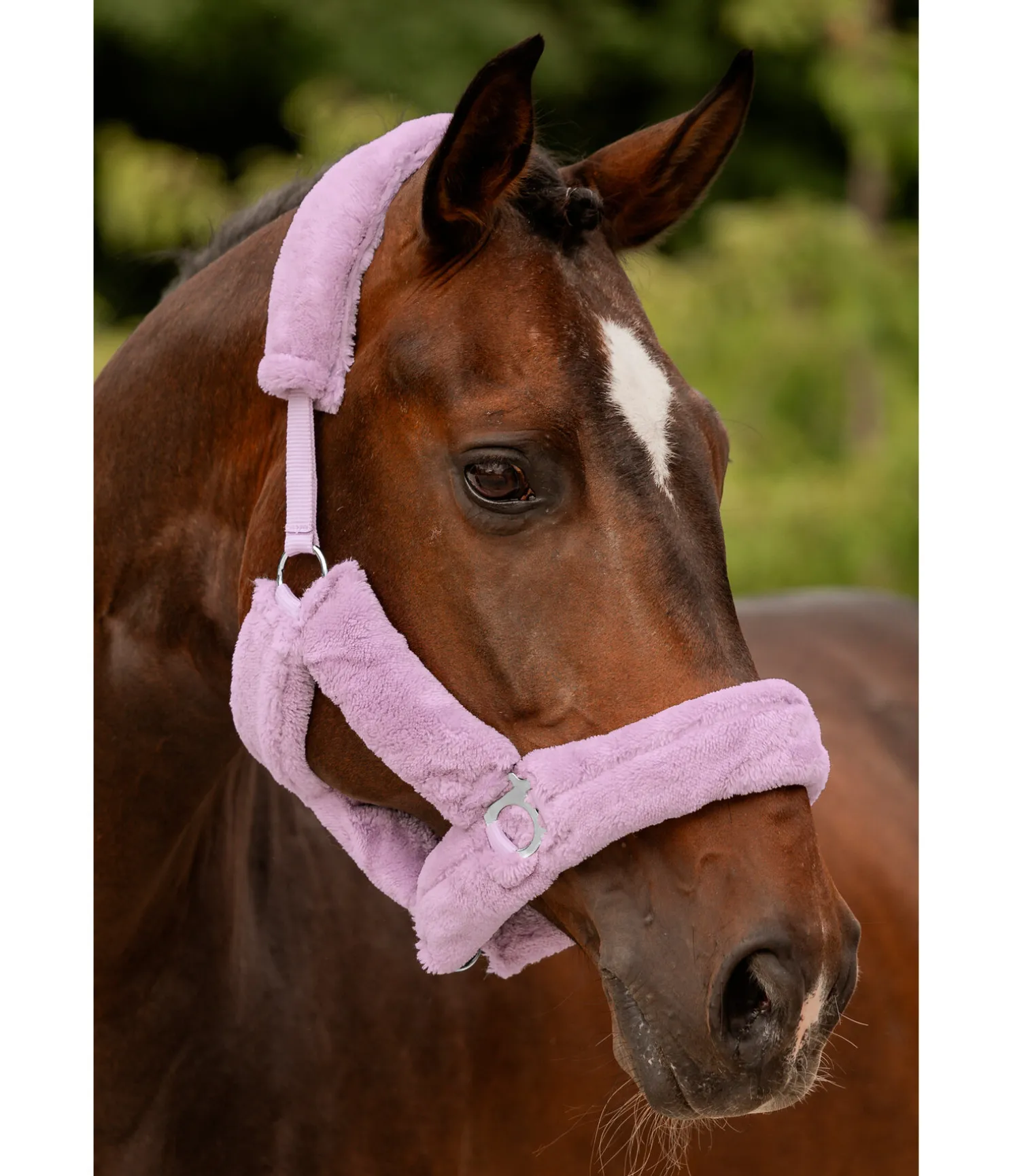 Licol en polaire Teddy Protection