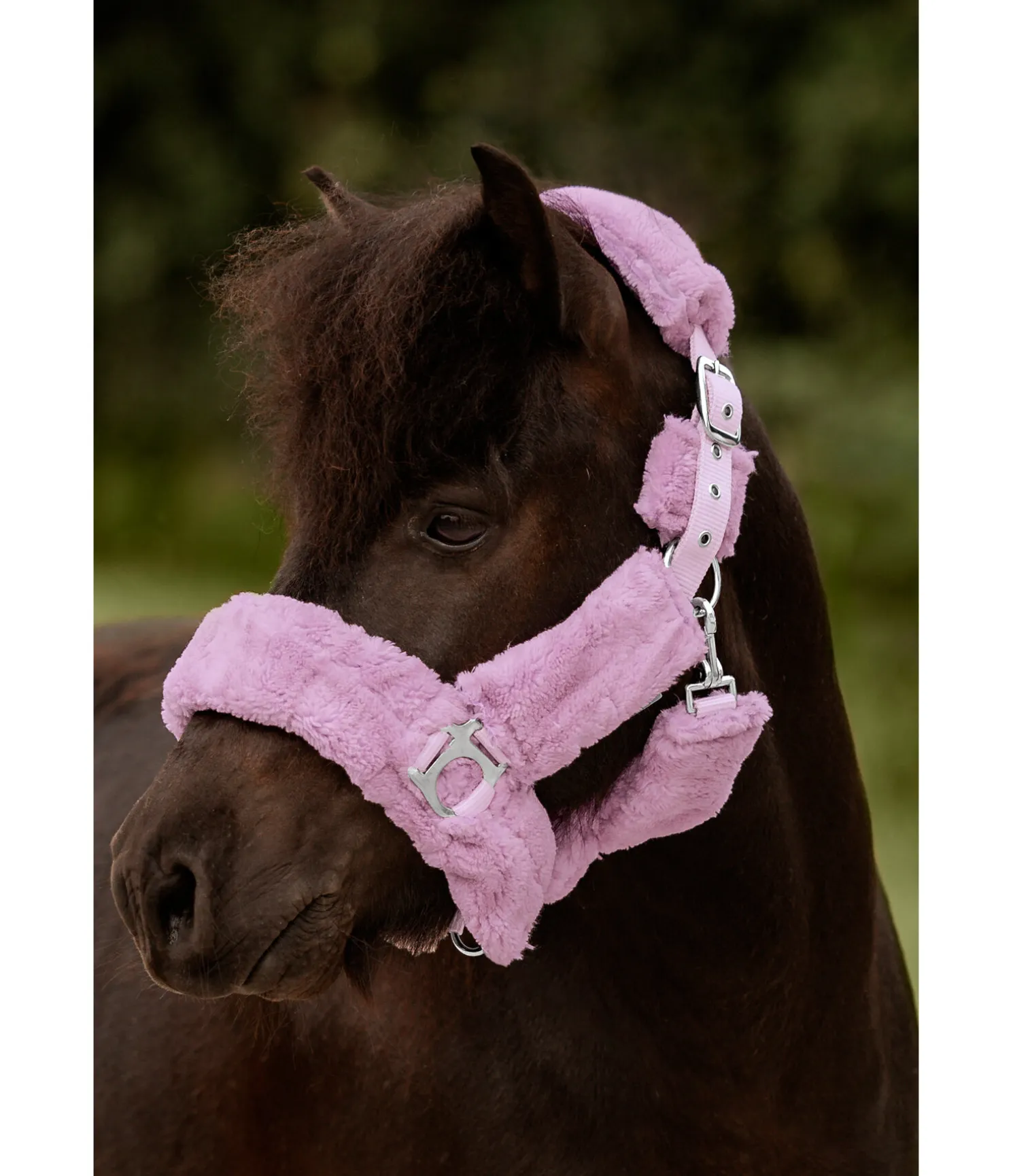 Licol en polaire Teddy Protection