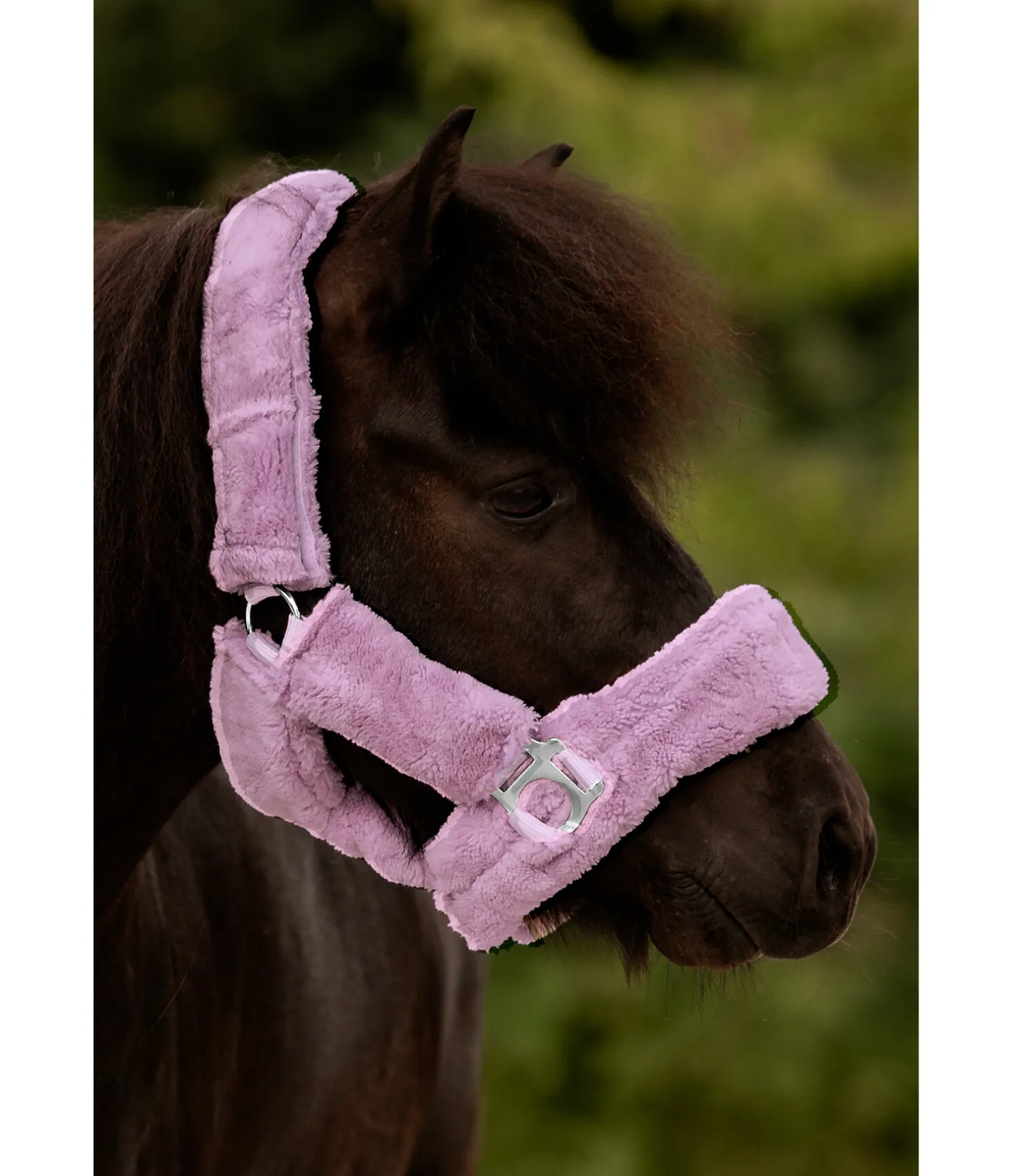 Licol en polaire Teddy Protection