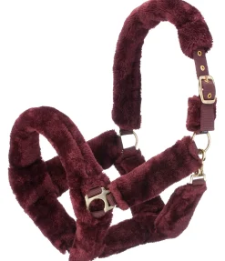 Licol en polaire Teddy Protection
