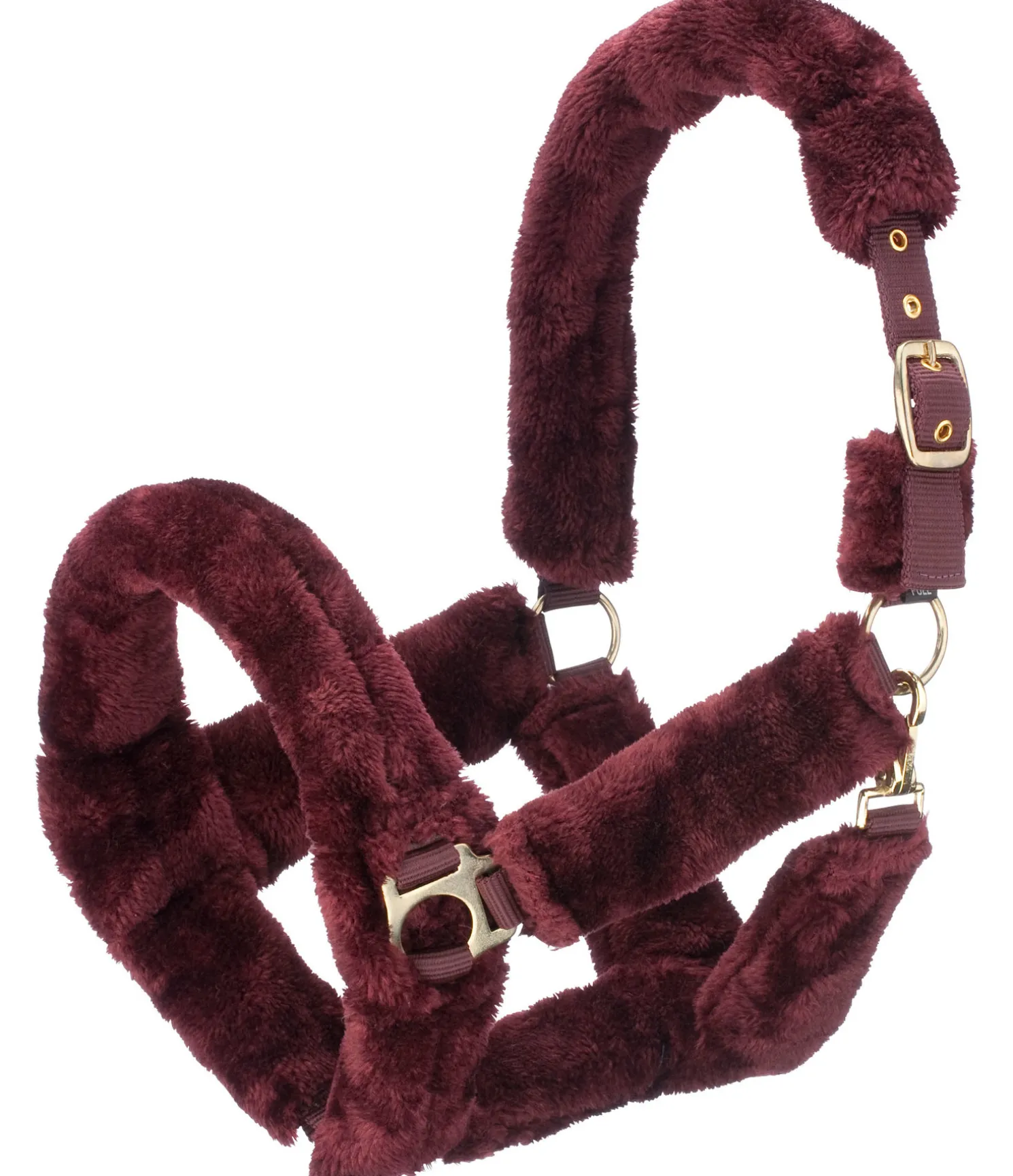 Licol en polaire Teddy Protection