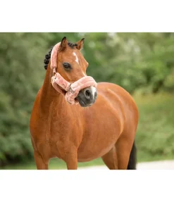 Licol en polaire Teddy Protection