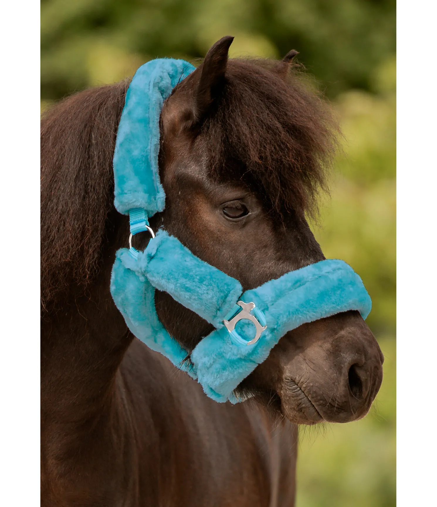 Licol en polaire Teddy Protection