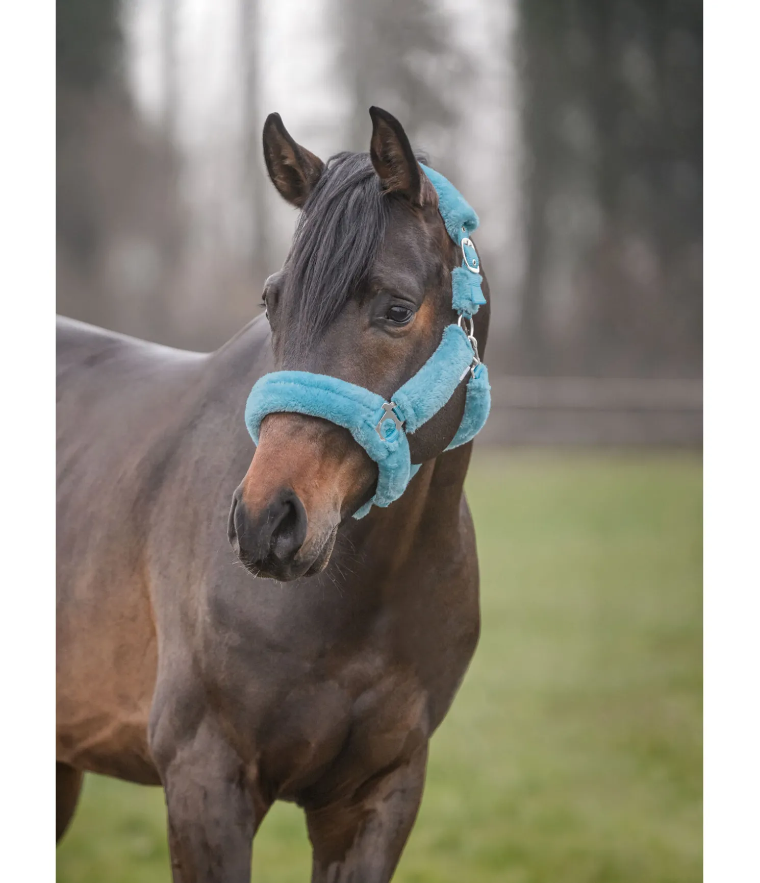 Licol en polaire Teddy Protection