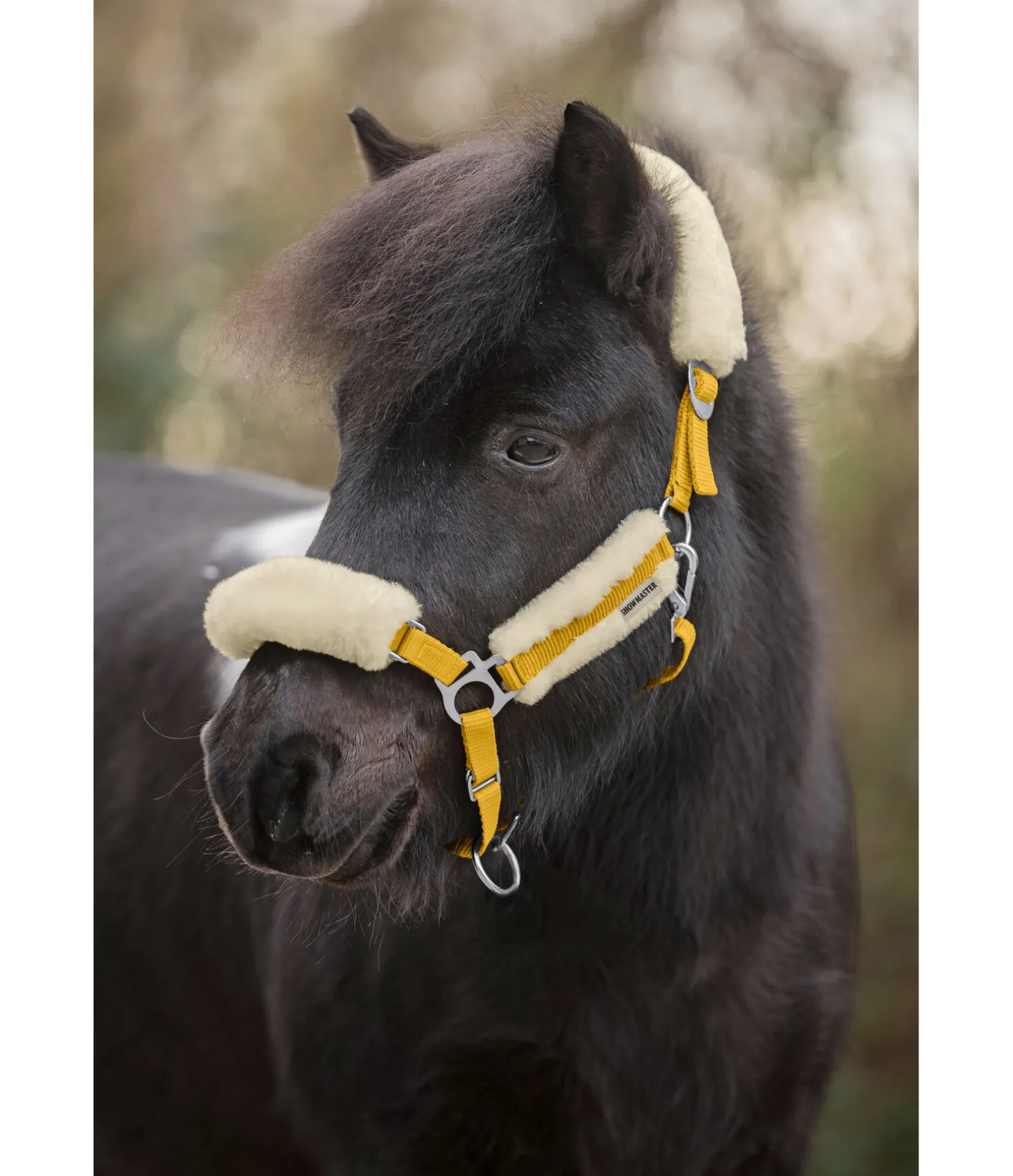 Licol poulain et shetland en polaire Teddy Cozy Adjustable