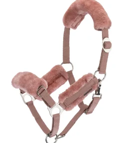 Licol poulain et shetland en polaire Teddy Cozy Adjustable