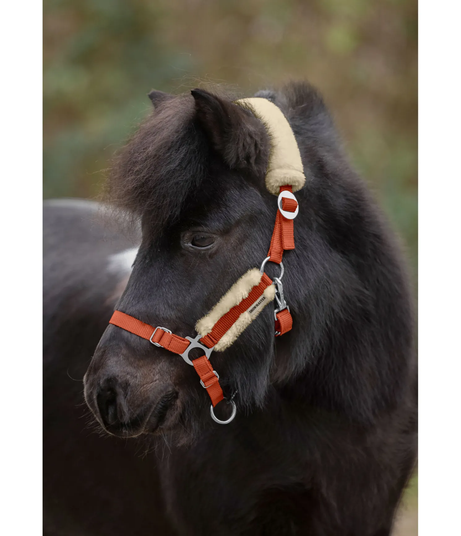 Licol poulain et shetland en polaire Teddy Cozy Adjustable