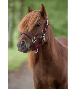 Licol poulain et shetland Twinkle