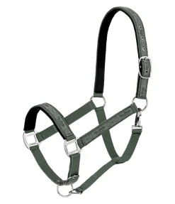 Licol Signature II