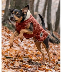 Manteau avec doublure en polaire Teddy pour chien Archie, 160 g