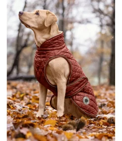 Manteau avec doublure en polaire Teddy pour chien Archie, 160 g