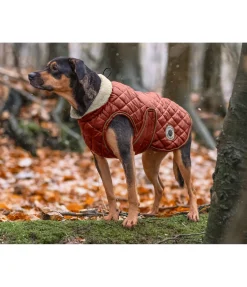 Manteau avec doublure en polaire Teddy pour chien Archie, 160 g
