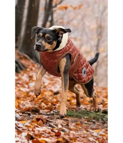 Manteau avec doublure en polaire Teddy pour chien Archie, 160 g