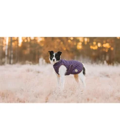 Manteau avec doublure en polaire Teddy pour chien Archie, 160 g