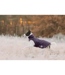 Manteau avec doublure en polaire Teddy pour chien Archie, 160 g