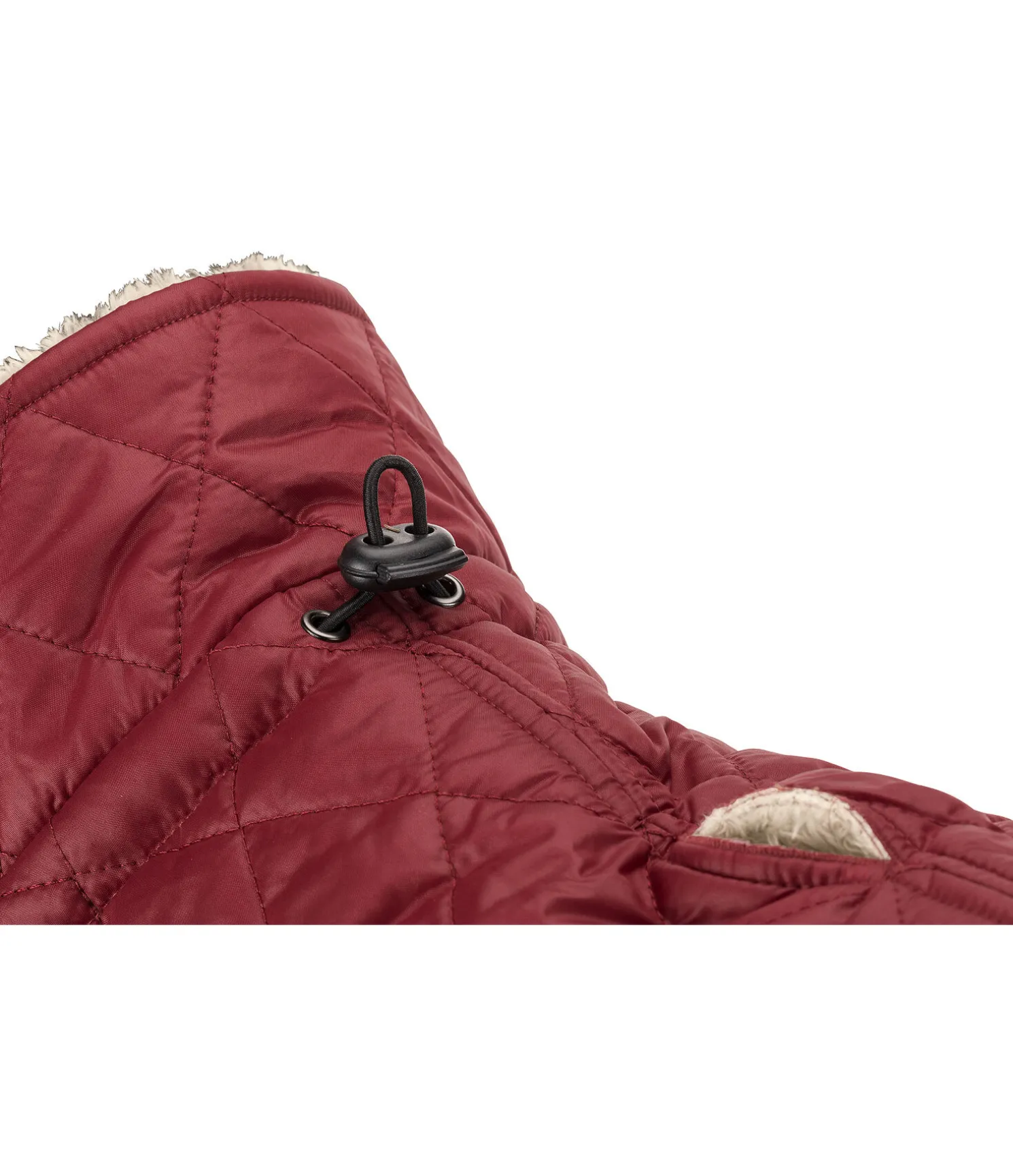 Manteau avec doublure en polaire Teddy pour chien Archie, 160 g