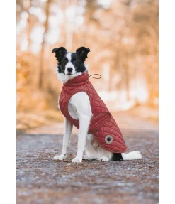 Manteau avec doublure en polaire Teddy pour chien Archie, 160 g