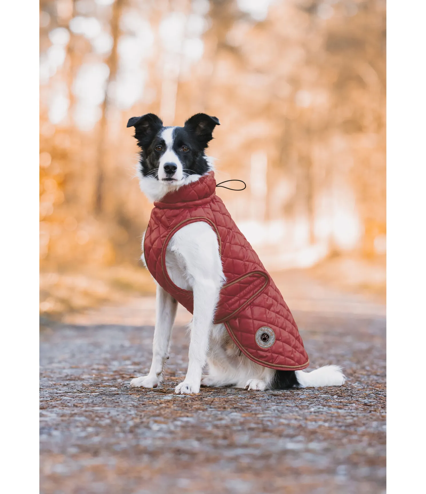 Manteau avec doublure en polaire Teddy pour chien Archie, 160 g