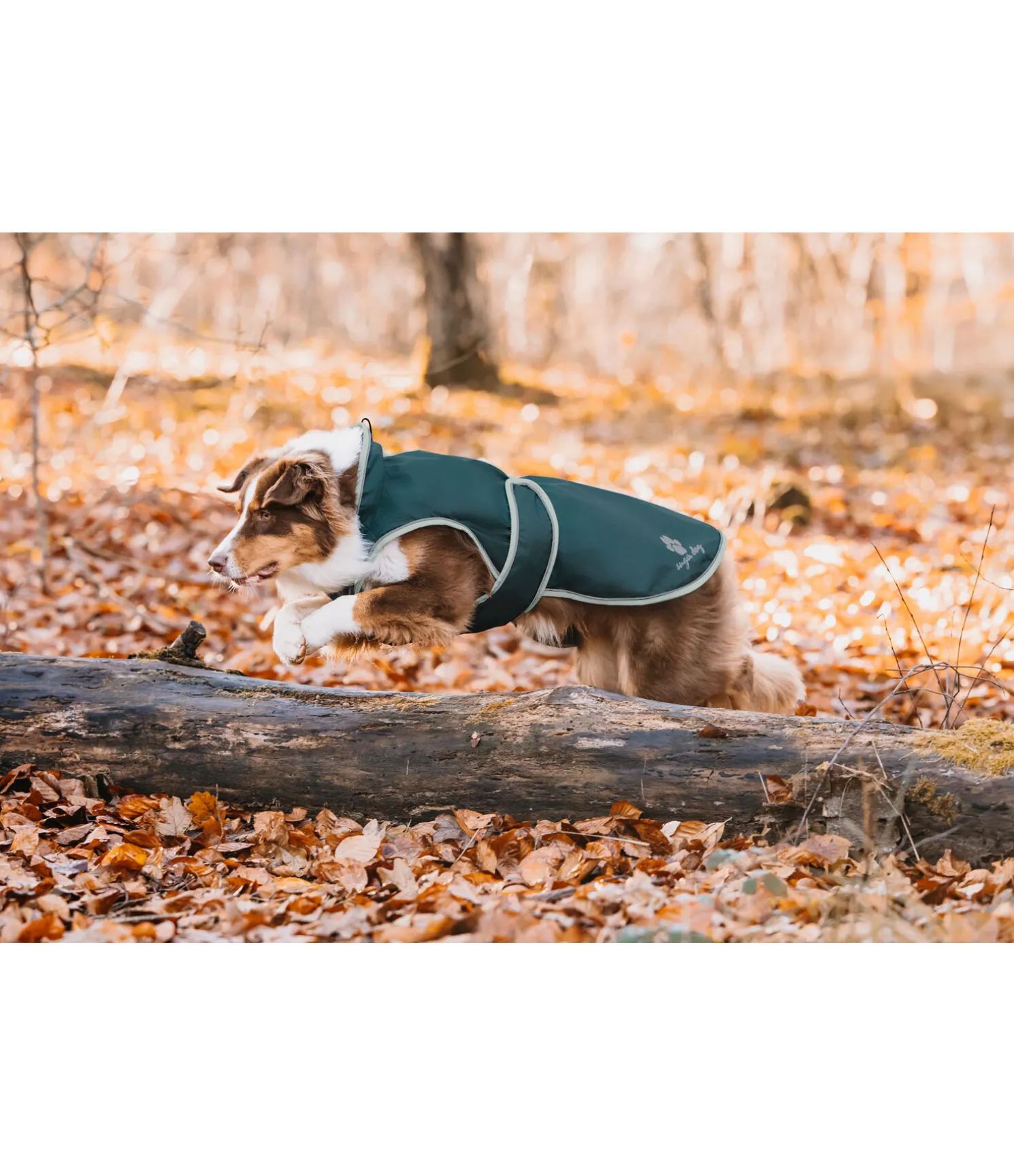 Manteau de pluie pour chien Eldoro II avec doublure intérieure en polaire, 0g