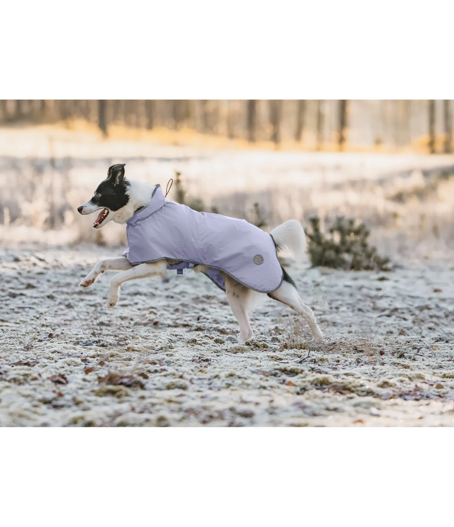Manteau de pluie pour chien Thousand Islands, 0 g