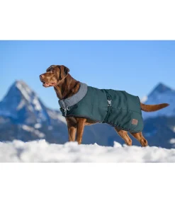 Manteau d'hiver pour chien avec doublure en fourrure Teddy Gizmo, 200 g