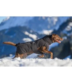 Manteau d'hiver pour chien Marlon, 200-300 g