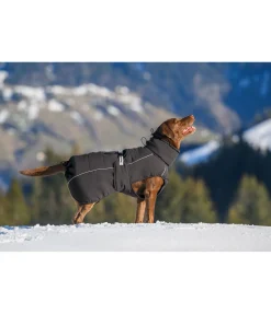 Manteau d'hiver pour chien Marlon, 200-300 g
